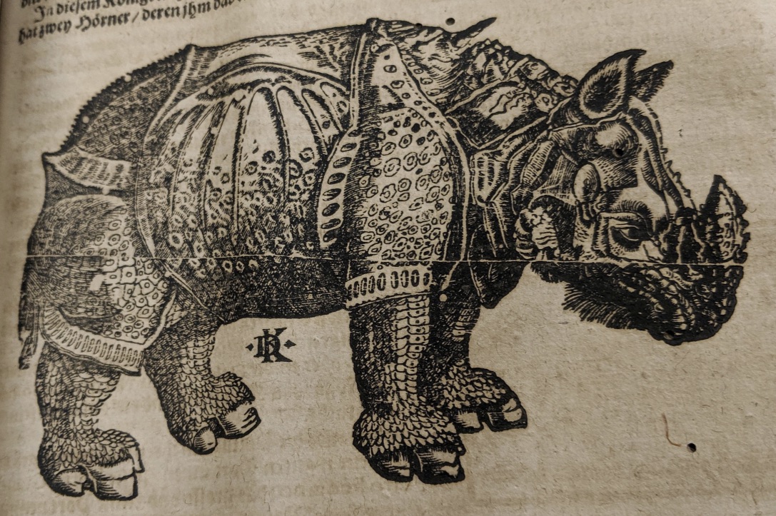Woodcut of rhinoceros