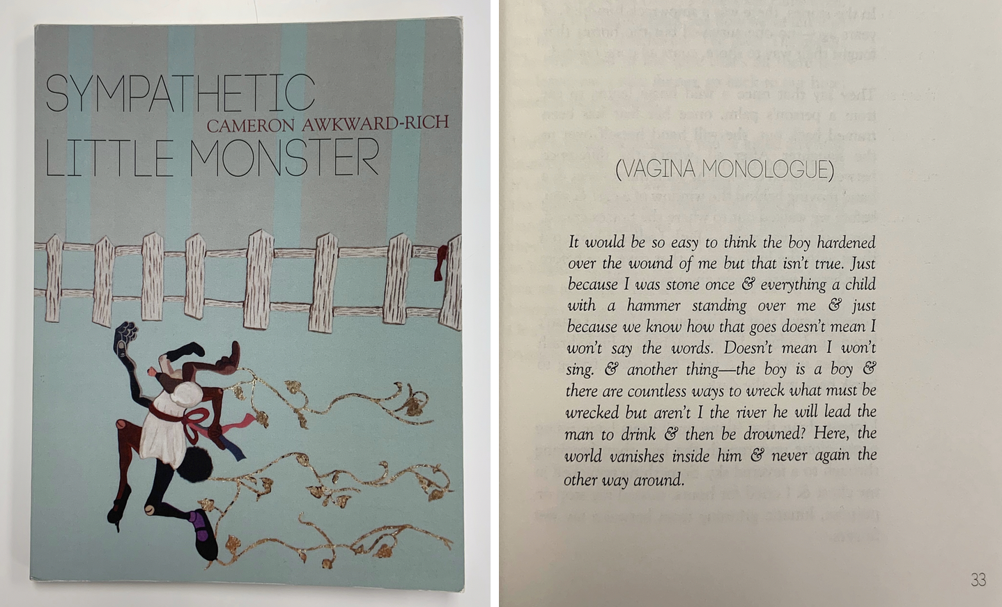 Two juxtaposed images. On the left is the cover of Sympathetic Little Monster by Cameron Awkward-Rich, a small light blue chapbook. On the right is an excerpt from a poem in the volume, titled "(Vagina Monologue)".