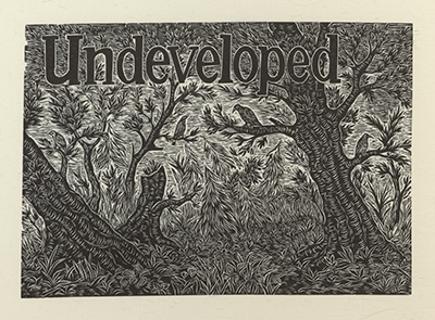 Woodcut illustration titled "Undeveloped" with a dark thick forest, with birds sitting on the branches of trees in the foreground.