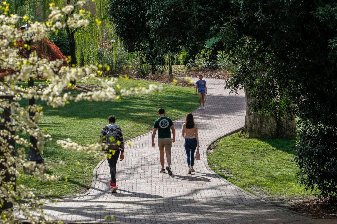 Students walking along a path landscaped with native plants next to the Sunken Gardens