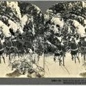 Stereoview showing Santa in his sleigh, which is pulled by four reindeer. Snowy landscape in the background.