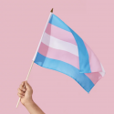 A hand holds up a trans flag against a pink background. The trans flag consists of five horizontal stripes. From top to bottom: light blue, pink, white, pink, light blue.