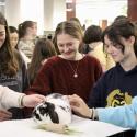 students petting a rabbit